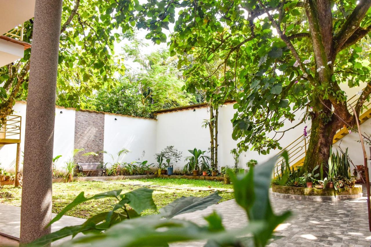 Green House Tarapoto Exteriér fotografie