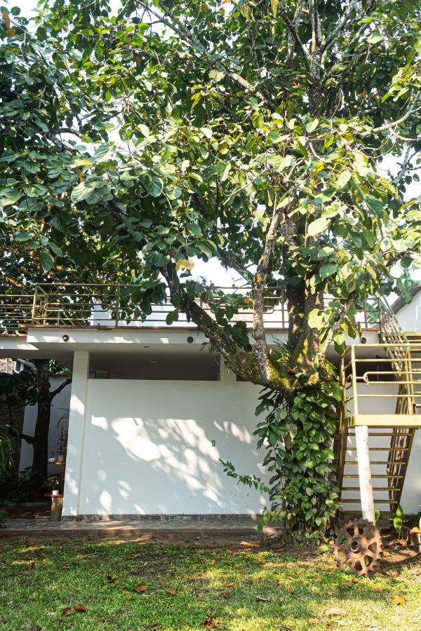 Green House Tarapoto Exteriér fotografie
