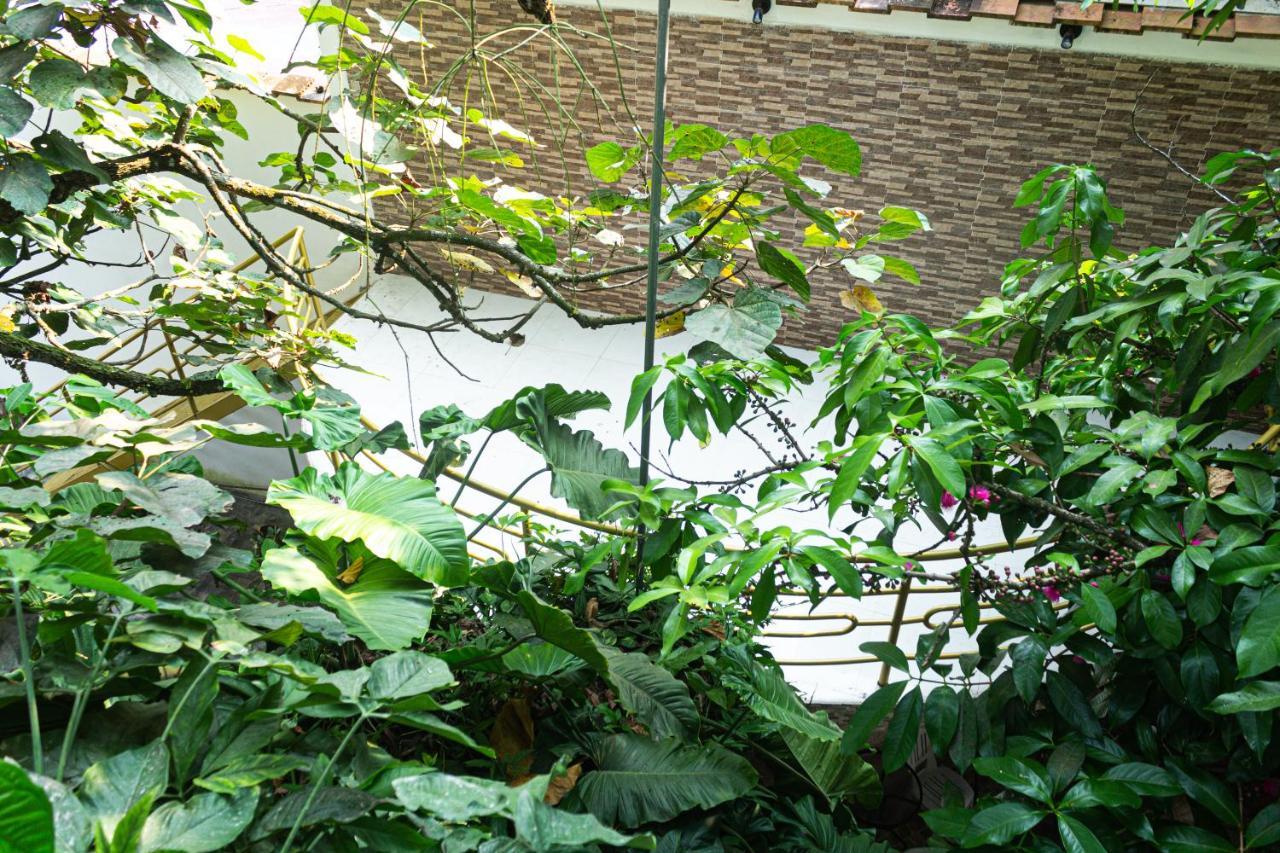Green House Tarapoto Exteriér fotografie