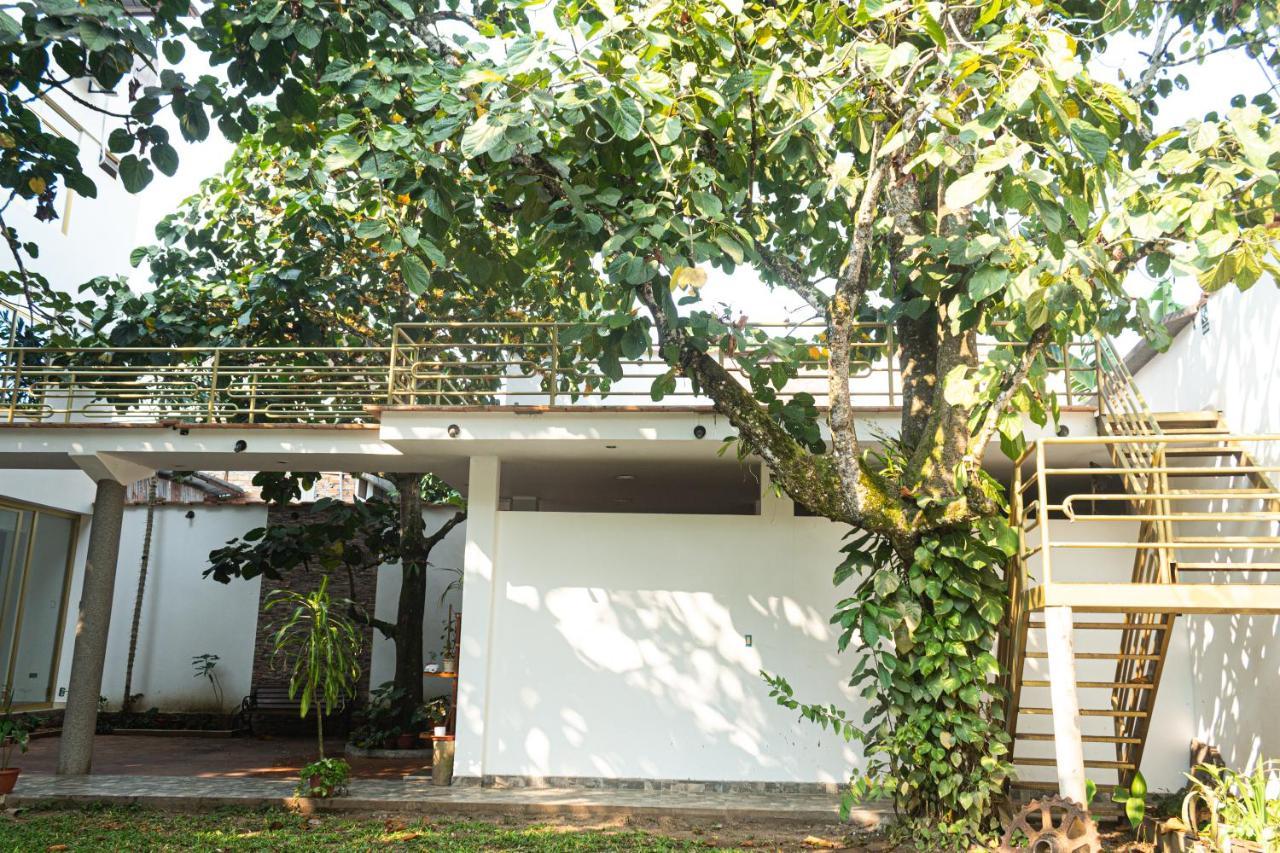 Green House Tarapoto Exteriér fotografie